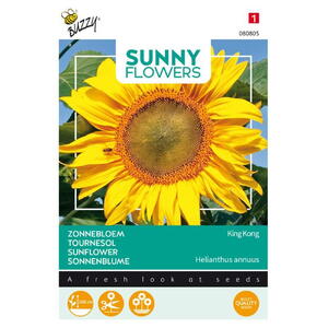 Sunny Flowers, Solsikke, Henri Wilde, frø