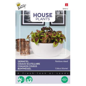Houseplant coll., Paletblad, Rainbow mix, frø