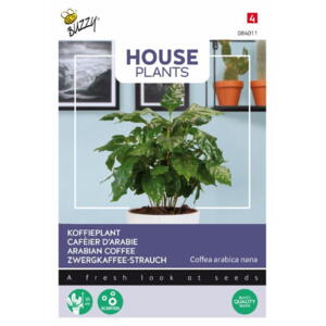Houseplant coll., Kaffetræ, frø