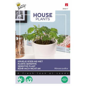 Houseplant coll., Ægte Mimose, frø