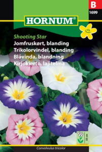 Jomfruskørt, Blanding, Shooting Star, frø