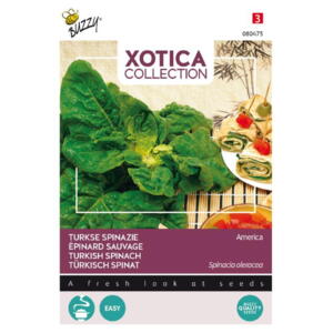 Xotica Coll., Spinat, Tyrkisk, frø