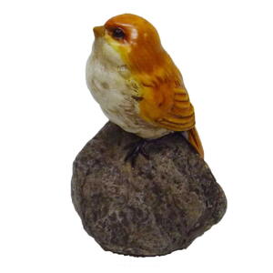 Bird on rock