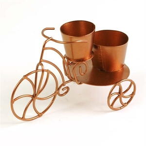 Mini tricycle planter