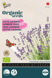 Økologisk Lavendel, Ægte-, frø