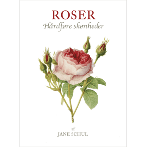 BOG: ROSER - hårdføre skønheder, af Jane Schul